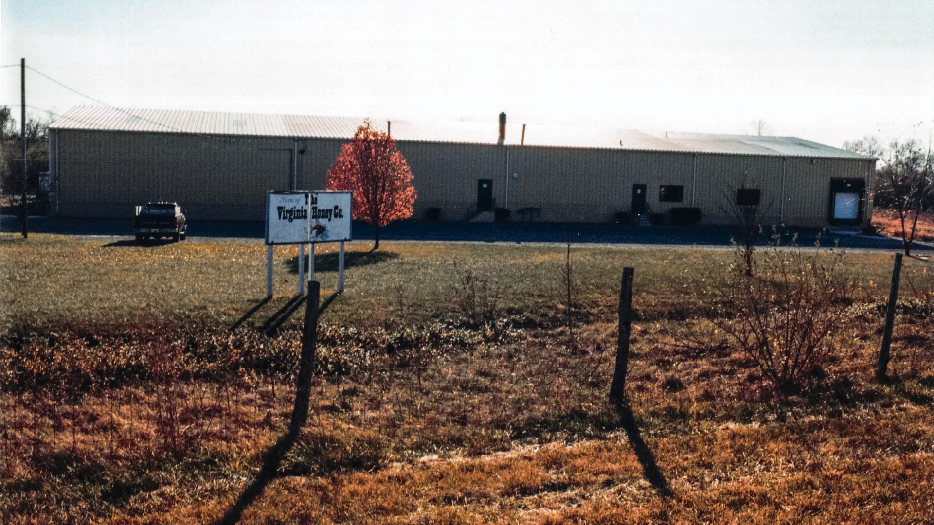 Company History